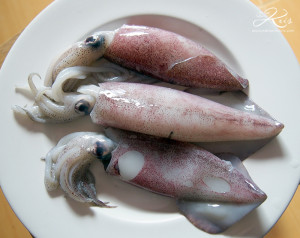 squid7