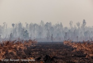 151012-photo-incendies-forets-indonesie-588x400