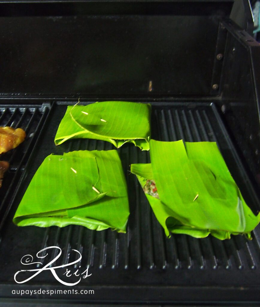 papillotes de poulet sur le grill